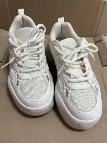 ZARA 화이트 스니커즈 37