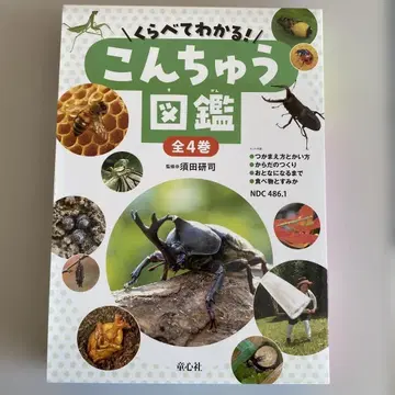 비교해서 알아보자! 곤충 도감 전 4권