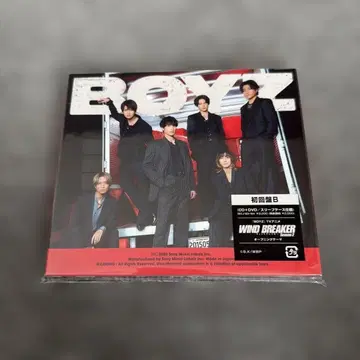 BOYZ (초회반 B) CD+DVD