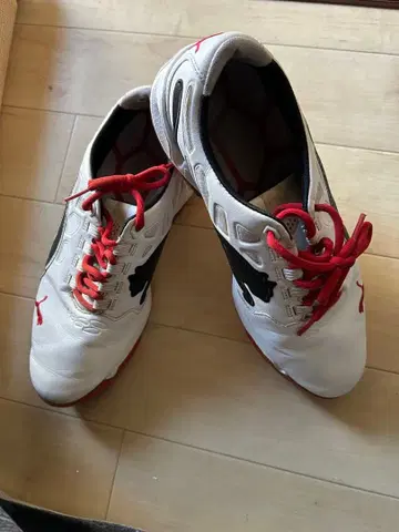 Puma 골프화 화이트/레드