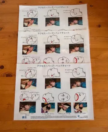 액세스 버스 헤드 차트