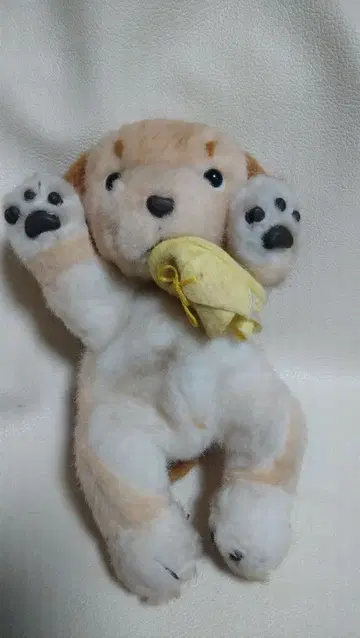 오늘부터 우리 집 강아지 Wanko 895