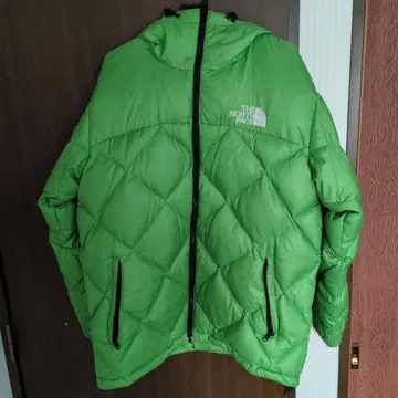 THE NORTH FACE 남성용 L 그린 다운 자켓