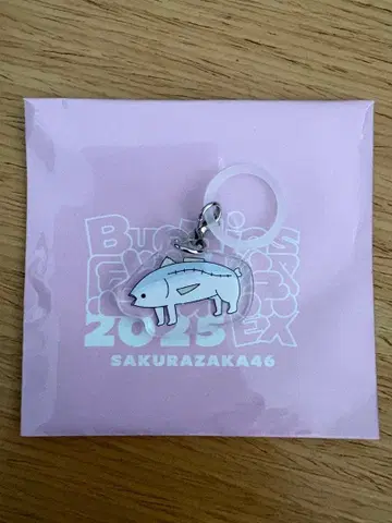 사쿠라자카46 메지루시 참 마츠모토 카즈코