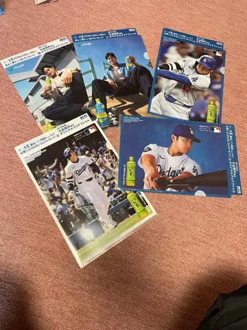 오타니 쇼헤이 클리어 파일 세트