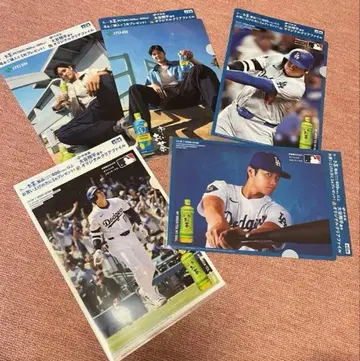 오타니 쇼헤이 클리어 파일 세트