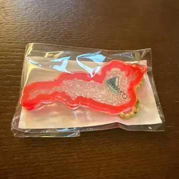 비와코 키링 이부키산