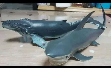 고래 상어 해양 생물 바다 생물 소프트 비닐 25cm
