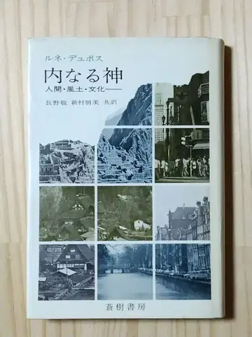 내면의 신 르네 뒤보스