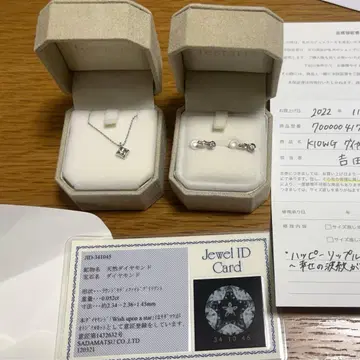 fostarite 다이아몬드 목걸이, 귀찌