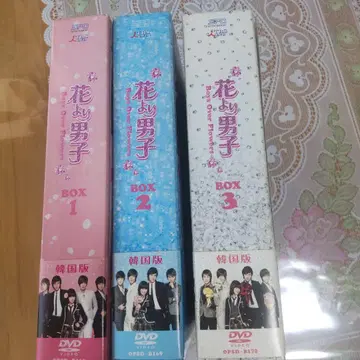 하자품. 한국판 꽃보다 남자 DVD