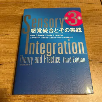 감각 통합과 그 실천 제3판