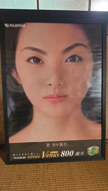 다나카 레이나 특대형 포스터 B2 사이즈 후지 컬러 판촉용