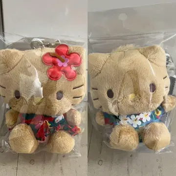 하와이안 키티 다니엘