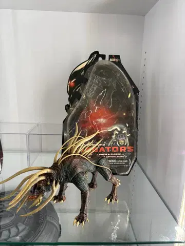 네카 프레데터 도그 하운드 콩 번개