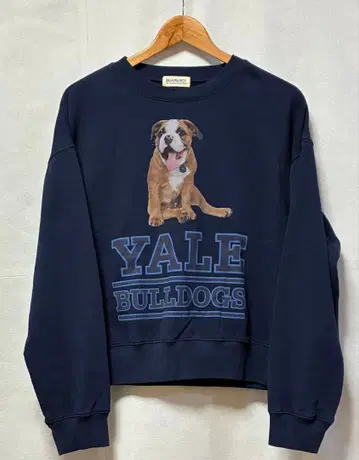 빔즈 보이 별주 BOOK STORE 칼리지 대학 개 예일대학교