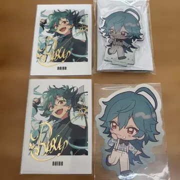 앙스타 라이카 아니카페 파샤츠