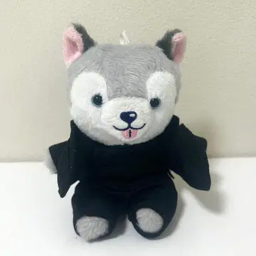 노키도아 앉아있는 봉제인형 토리이누 마츠무라 호쿠토