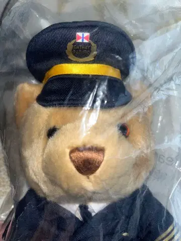 Cathay Pacific 사제 베어 (미개봉)