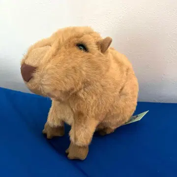 카피바라 봉제 인형