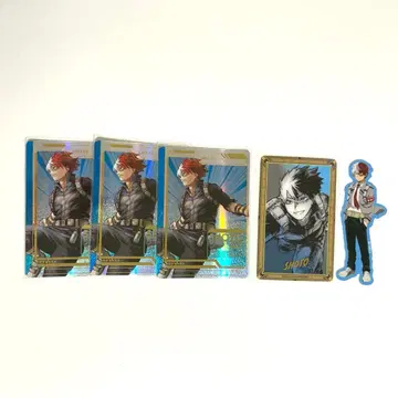 나의 히어로 아카데미아 히로아카 원화전 오픈스쿨 토도로키 쇼토 세트