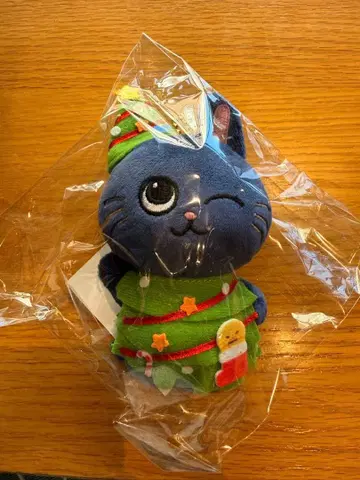 RIIZE 109 POPUP 마스코트 키링 봉제 인형 원빈