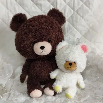 곰돌이 학교 복슬복슬 재키 L 데이비드 S 원조 디자인 세트