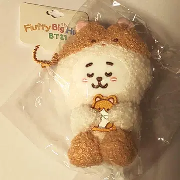 BT21 RJ MOTTO HUG 마스코트 BTS JIN 진 석진