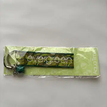 Aqua Timez evergreen 키링