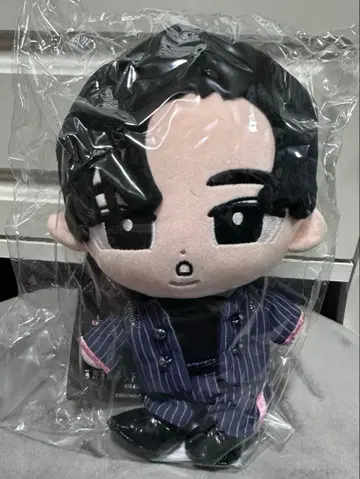 ( 익명 배송 ) SnowMan 메구로 렌 봉제 인형