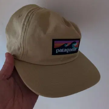 patagonia 베이지 캡