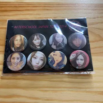AFTERSCHOOL JAPAN TOUR 2014 배지 8개 세트