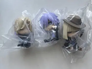 트위스테 어깨 쿵 폼피오레 기숙사