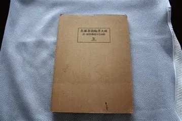 사토 소류 임서대성