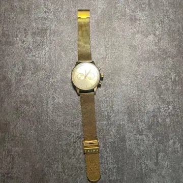 TRIWA 골드 메쉬 손목시계