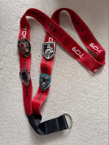 미국 디즈니랜드에서 구매한 Star wars 넥스트랩과 핀 배지