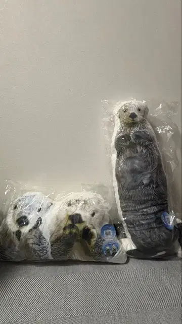 도바 수족관 쿠션 메이키라