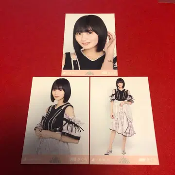 노기자카46 엔도 사쿠라 Same numbers 컴프 브로마이드