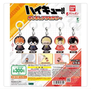 하이큐 메지루시 액세서리