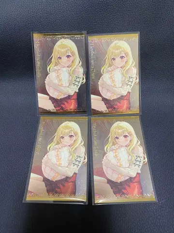 호시카와 사라 보이스 비주얼 카드 니지산지