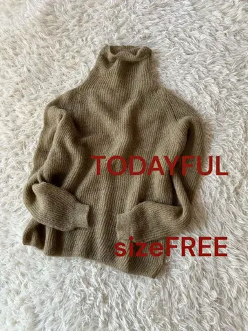 투데이풀 소프트 모헤어 터틀 니트 프리 사이즈
