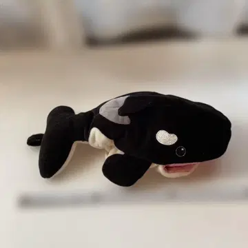 범고래 봉제 인형