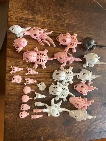 화석돈 슈퍼 화석돈