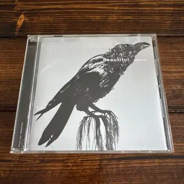 about tess / beautiful