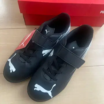 PUMA 트레이닝 슈즈 21cm