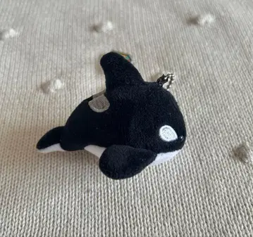 리벤지 스파이 샤치 키링 오하시 카즈야 나니와단시