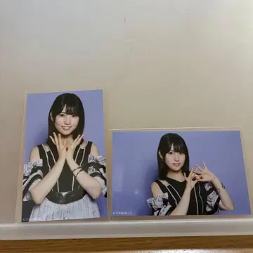 마스다 미리오 세미콘 노기자카46 Samenumbers 미니 브로마이드