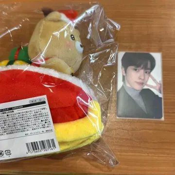 RIIZE 팝업 109 마스코트 키링 트레이딩 카드 성찬