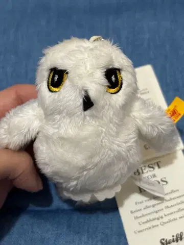 헤드윅 키링 슈타이프