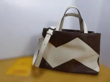 ETRO/에트로 2way 숄더백 페이즐리 x 화이트 877J